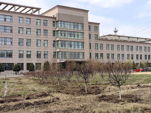 薪火相传植新绿 生机盎然向未来——省交通科学研究所开展春季植树活动